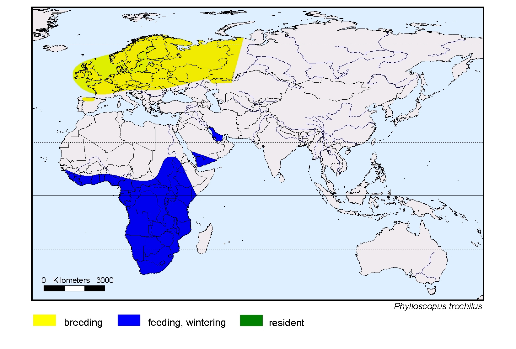 Phylloscopus trochilus