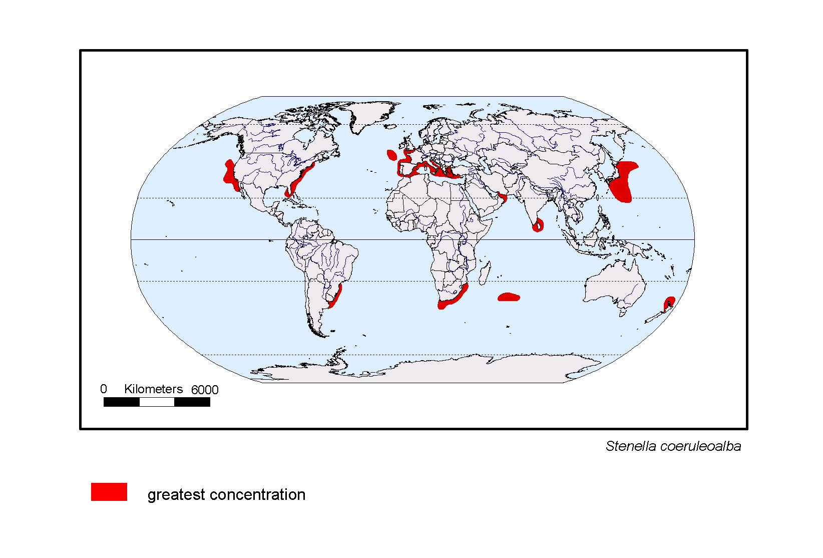 Sporophila caerulescens