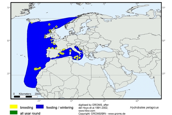 Verbreitungskarte von Hydrobates pelagicus
