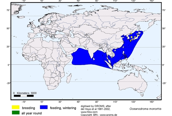 Verbreitungskarte von Oceanodroma monorhis