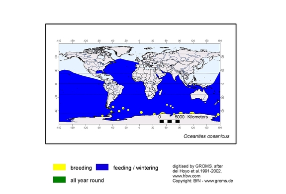 Verbreitungskarte von Oceanites oceanicus