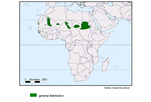 map about the distribution of Addax nasomaculatus