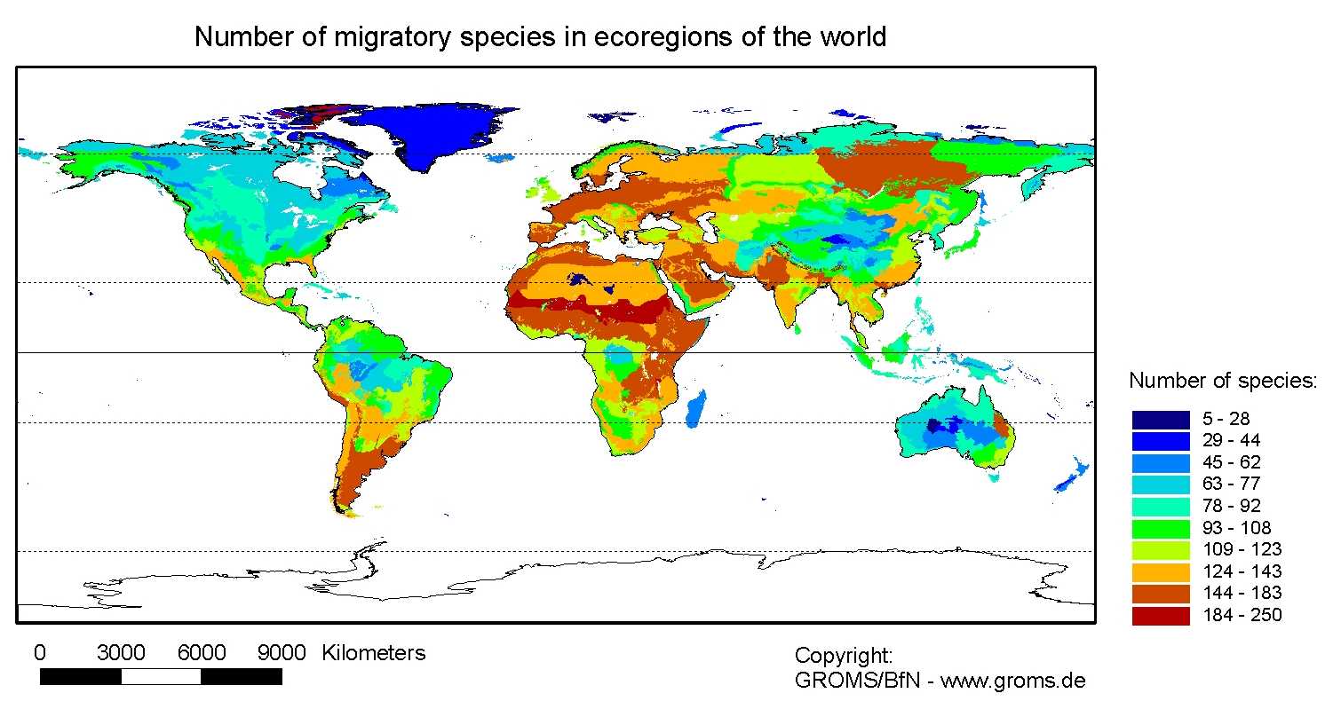 Diversiteten av trekkende arter i forskjellige områder